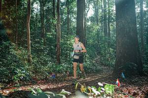 BIB: 
                            <button type="button" onclick="openModal(26074935)" class="btn btn-primary btn-sm float-right btn-popup" data-toggle="modal" data-target=".modal-high-quality">
                        <i class="fas fa-shopping-cart"></i> Add to Cart
                    </button>
                                            <button type="button" onclick="isThisMe(26074935, true)" class="btn btn-success btn-sm float-right btn-popup btn-isme hidden" data-toggle="tooltip" data-placement="bottom" title="นี่คือรูปของคุณใช่ไหม คลิกที่นี่เพื่อเอาเข้าอัลบั้ม">
                        <i class="fas fa-plus"></i> Add to album
                    </button>
                    <button type="button" onclick="isThisMe(26074935, false)" class="btn btn-warning btn-sm float-right btn-popup btn-isnotme hidden">
                        <i class="fas fa-ban"></i> Remove from album
                    </button>